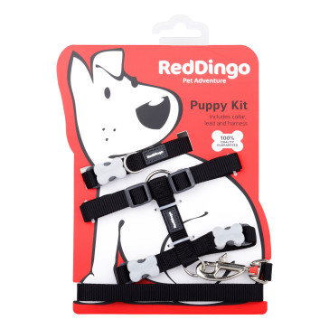 Red Dingo Puppy Harness, Collar & Lead Pack - Black