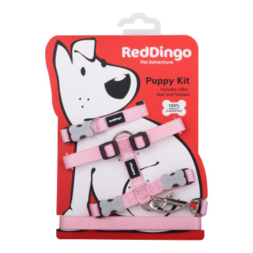 Red Dingo Puppy Harness, Collar & Lead Pack - Pink