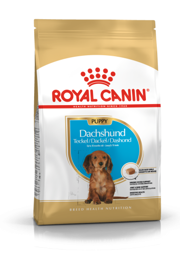 Royal Canin Dachshund Junior Puppy Food