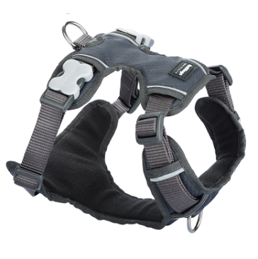 Red Dingo Padded Dog Harness-Grey