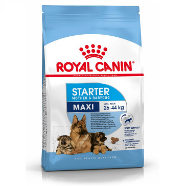 Royal Canin Maxi Starter Mother & Babydog Food