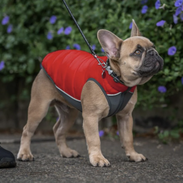 Red Dingo NEO Fit Reversible Puffer Jacket - Red