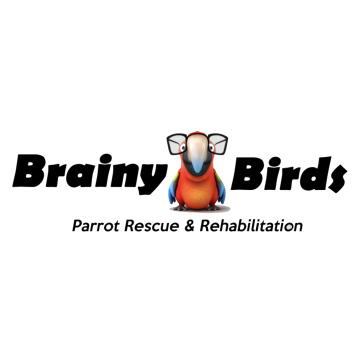 Donate R50 to Brainy Birds Parrot Rescue