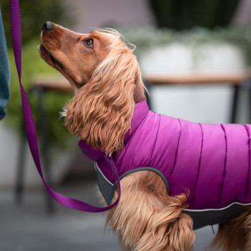 Red Dingo NEO Fit Reversible Puffer Jacket - Plum & Hot Pink
