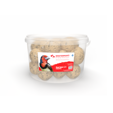 Westerman's Suet Original Bird Snack Balls - 25x125g