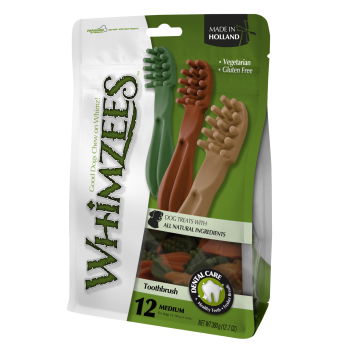 Whimzees Toothbrush Medium Dog Daily Dental Treat - Pack of 12