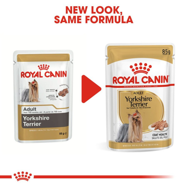 Pet Heaven Buy Royal Canin Online in South Africa Royal Canin