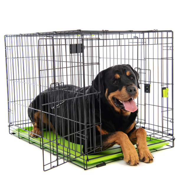 Pet Heaven | Buy M-Pets Online South Africa |M-Pets Wire Pet