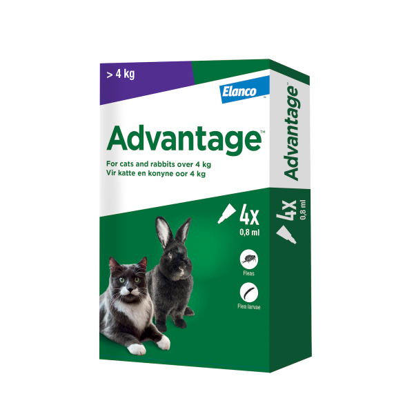 Pet Heaven Buy Advantage Online in South Africa Advantage