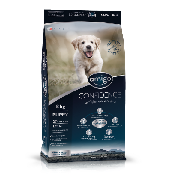 Pet Heaven Buy Amigo Online in South Africa Amigo Confidence