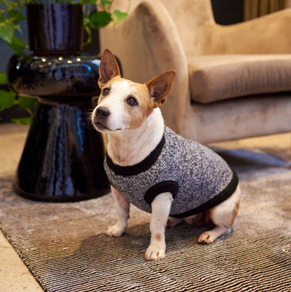 Pet Heaven | Buy Lucky & Lou Online in South Africa | Lucky & Lou