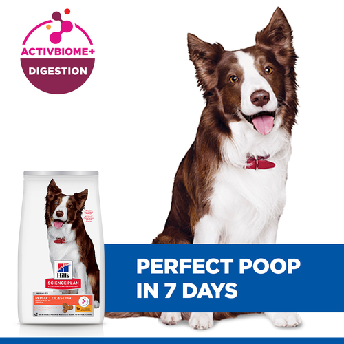 Pet Heaven | Buy Hills Online | Hill's Science Plan Perfect