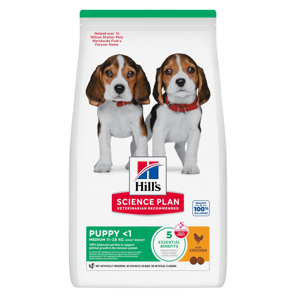 purina dog food red bag Purina ONE Large Breed Puppy Formula Dry Dog Food  Petsense