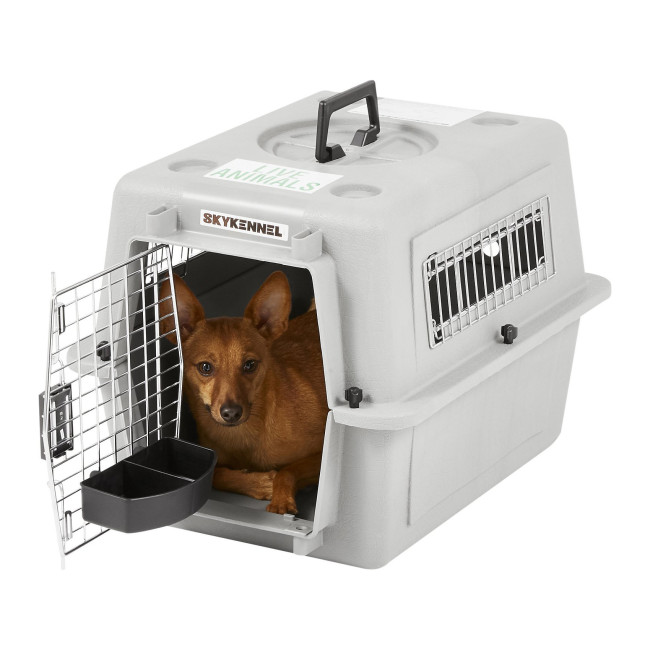Pet Heaven Buy Petmate Online Petmate Sky Pet Airline Kennel
