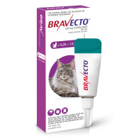 Bravecto Large Cat 6.25-12.5kg Spot On Tick & Flea 