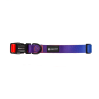 Urbanpaws Finn Dog Collar