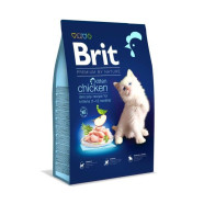 Brit Premium Chicken Kitten Food