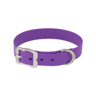 Red Dingo Vivid PVC Dog Collar-Purple