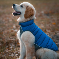 Red Dingo NEO Fit Reversible Puffer Jacket - Navy & Turquoise