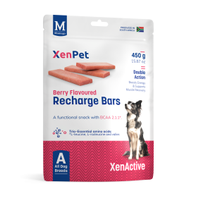Xenpet Berry Flavoured Recharge Dog Bars-450g