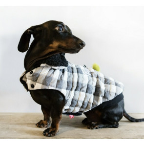 Dog's Life Stay Awesome Checkered Cape - Black