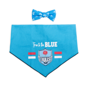 Dog's Life Official Licensed Bulls Dog Bow Tie & Bandana Set