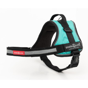 Dog's Life No Pull Control Handle Dog Harness - Turquoise