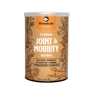 Gizzls Botanicals Joint & Mobility Dog Biscuits - 40 Biscuits 