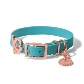 Valgray Premium Small Breed Dog Collar - Turquoise & Rose Gold