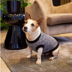 Lucky & Lou The Ziggy Knitted Dog Jersey