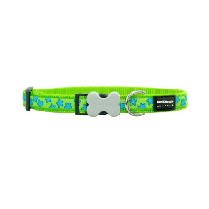 Red Dingo Design Dog Collar - Stars Turquoise on Lime Green