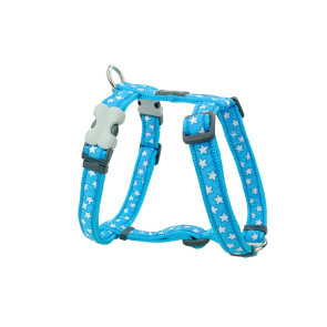 Red Dingo Design Dog H-Harness - Stars White on Turquoise