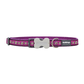 Red Dingo Design Dog Collar-Daisy Chain-Purple