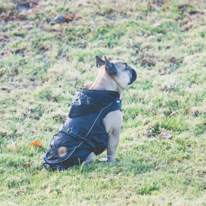 Dog's Life Reflecta Windbreaker Dog Jacket - Black