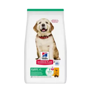 Hill's Science Plan Chicken Large Breed Puppy Food-6kg