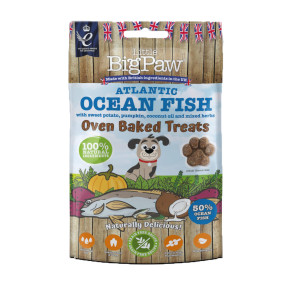 Little Big Paw Oven Baked Atlantic Ocean Fish Dog Treats