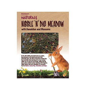 Rosewood Naturals Nibble & Dig Meadow Small Pet Treat