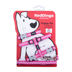 Red Dingo Puppy Harness, Collar & Lead Pack - Gingham