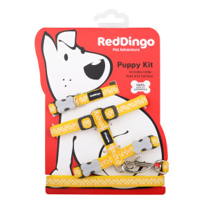 Red Dingo Puppy Harness, Collar & Lead Pack - Yellow Gingham