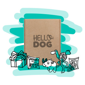 Hello Dog 6 Month Large Dog Box - 20kg and over