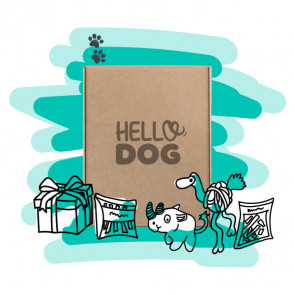 Hello Dog Medium Dog Box - 10Kg to 20kg