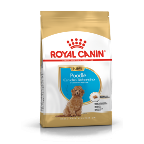 Royal Canin Poodle Junior Puppy Food