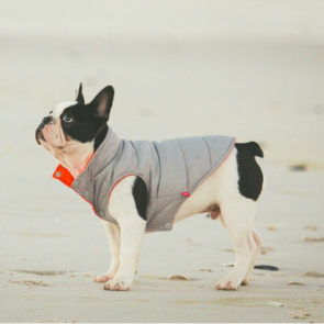 Dog's Life Polka Dot Dog Parka-Khaki-XS