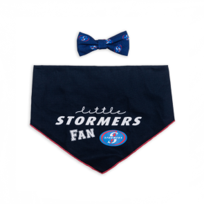 Dog's Life Official Licensed Stormers Dog Bow Tie & Bandana Set