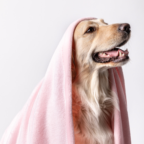 Pet Heaven Luxury Mongolian Fleece Plush Large Pet Blanket – Soft Pink 