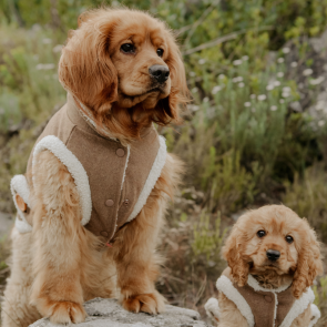 Dog's Life DLWN Wool Winter Coat with Sherpa Fleece Brown