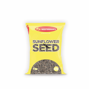 Westerman's Striped Sunflower Seed