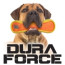 DuraForce TriangleRing Dog Toy 