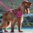 Rogz Utility Control Dog Harness Pink