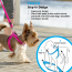 Rogz Utility Fast Fit Dog Harness